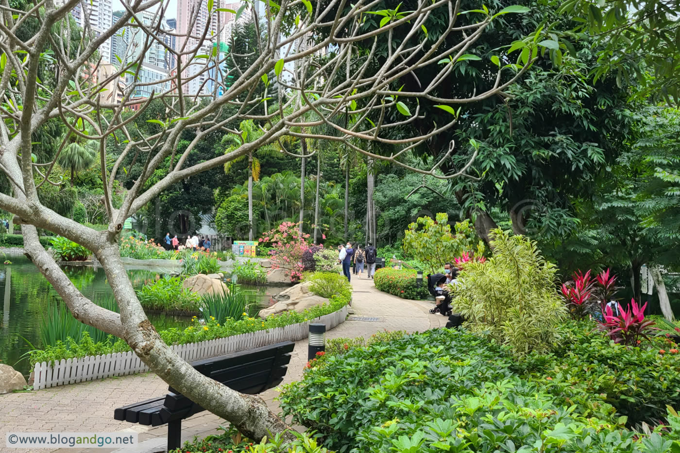 Hong Kong Park
